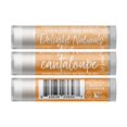 thumbnail image 2 of Delight Naturals Cucumber Melon Lip Balm Gift Set - Cucumber, Cantaloupe, Honeydew, 2 of 4