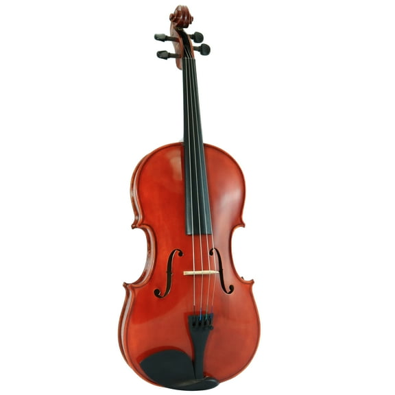 D'Luca Orchestral Series Viola Outfit 16.5"