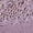 PINK, variant on Wealurre Women's High Waisted Lace Underwear Bikini - Cotton Soft Stretch Hipster Panties for Ladies 5 Pack S-2XL