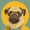Pug, variant on Smart Pug Portrait Canvas Print, Suitable for Living Room, Bedroom, Office, Coffee Shop, Bar, Restaurant, Study