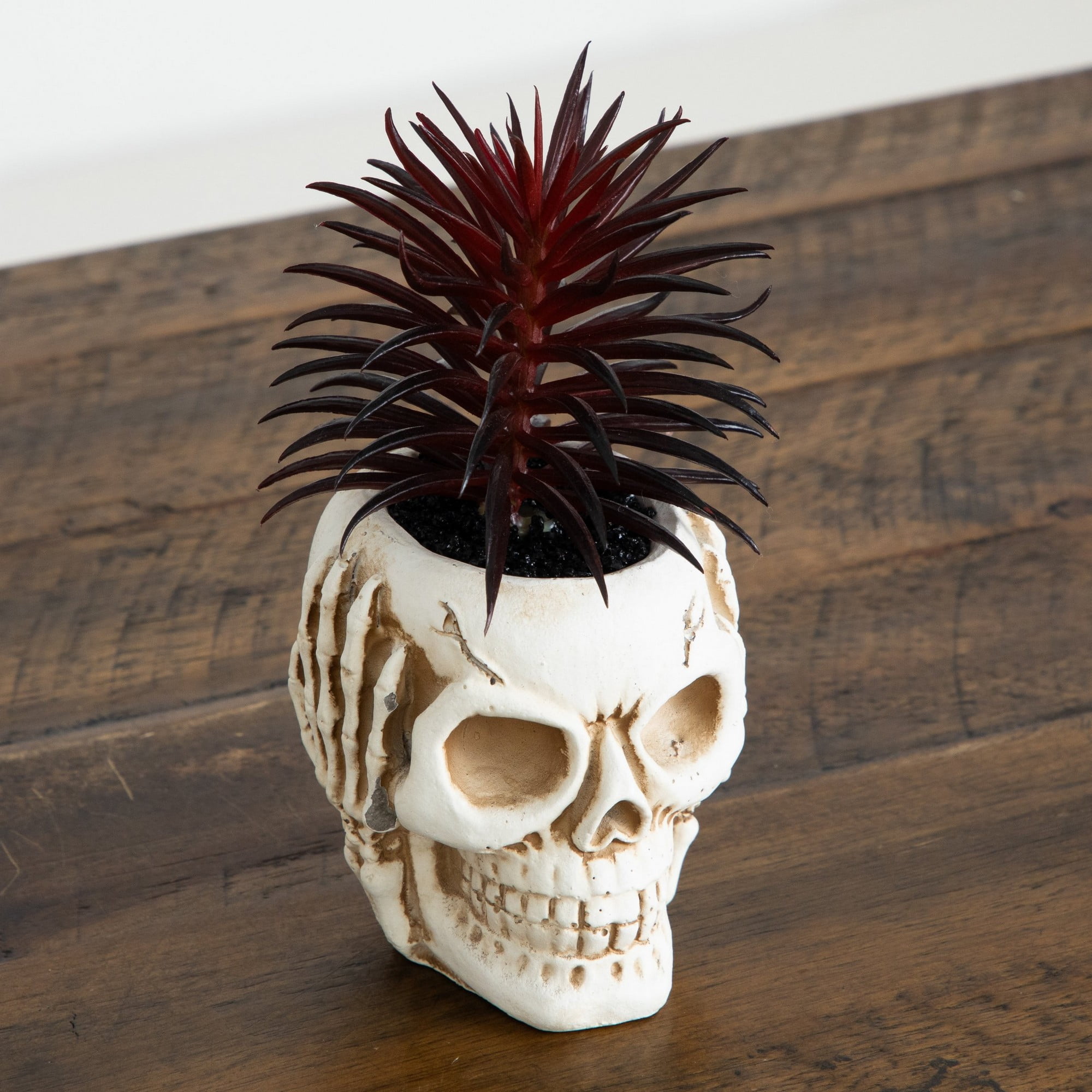 6in. Artificial Halloween Speak, Hear, See No Evil Succulent Plant Skull Decor - Set of 3