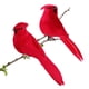 thumbnail image 2 of TENDYCOCO 2 Piezas Figuras Decorativas de Aves Simuladas Artesanía de Aves Festival Decoración de Bodas Fiestas Adorno para el hogar (Rojo), 2 of 7