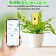 thumbnail image 3 of Tester,Tester Temperature Test Meter Potted Plant Soil Tester App Temperature, 3 of 6