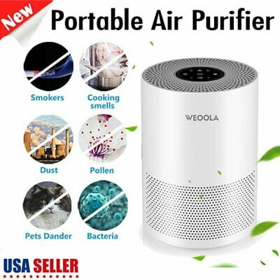 air purifier for dust and pet hair