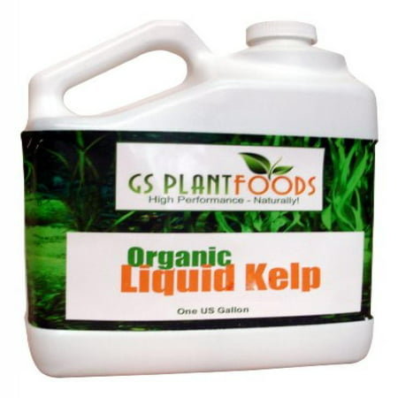 Liquid Kelp Organic Seaweed Fertilizer, Natural Kelp Seaweed Based Soil Growth Supplement for Plants, Lawns, Vegetables - 1 Gallon of (Best Fertilizer For Herbs And Vegetables)