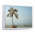 thumbnail image 2 of Designart "Tranquil Solitary Palm Stand I" Palms & Palm Trees Floater Framed Canvas Wall Art, 2 of 5