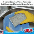 thumbnail image 6 of LOLA Wonder Scourer Non-Scratch Scouring Pad, Dual Purpose Foam Cleaning Sponge - 1 CT, 6 of 7