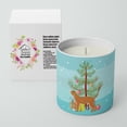 thumbnail image 2 of Carolines Treasures CK4545CDL 3.75 x 3.25 in. Unisex Red Abyssinian Cat Merry Christmas 10 oz Decorative Soy Candle, 2 of 5