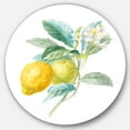 thumbnail image 1 of Designart « Floursack Lemon II » Art Mural Rond en Métal Style Ferme, 1 of 3