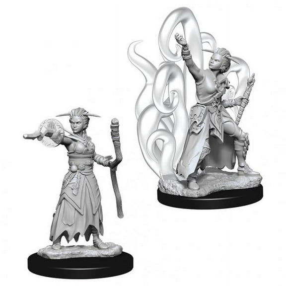 Dungeons and Dragons: Nolzur's Marvelous Unpainted Miniatures Female Human Warlock