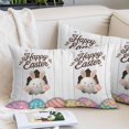 thumbnail image 2 of Grey Easter Pillow Protectors with Zipper Standard Size, Spring Cartoon Bunny Colorful Eggs Wood Grain Soft Brushed Microfiber Breathable Throw Pillow Covers, Pillowcase for Couch Sofa 20"x26", 2 of 9