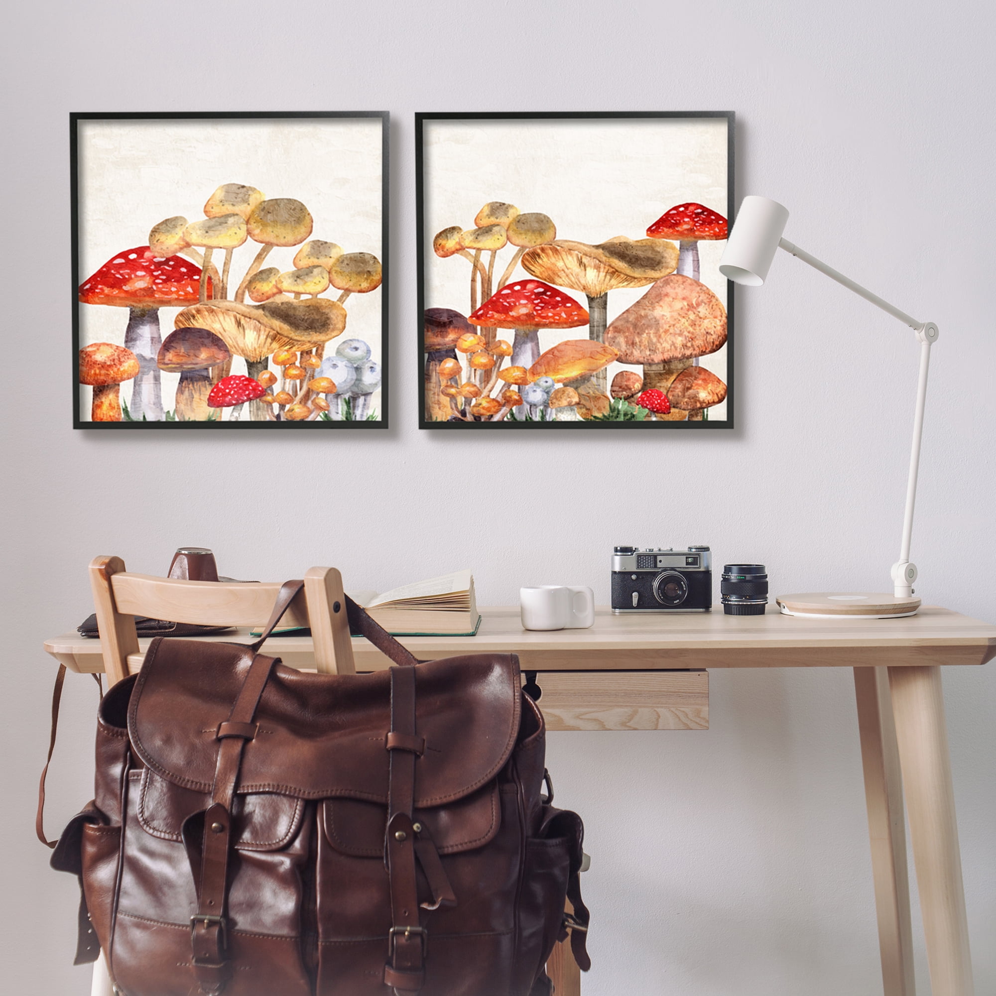 Stupell Industries Various Cottage Mushrooms Botanical & Floral Painting Black Framed Art Print Wall Art, 24 x 24, Set of 2
