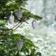 thumbnail image 5 of Luces Led Para Rbol De Navidad, Guirnalda De Luces De Cinta De Cobre, Decoracin Artificial Para Rbol De 2 Metros, Adornos Navideos a Pilas, Iluminacin Blanca Clida, Para El Hogar Y La, Ukhbmc, 5 of 9