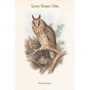 Otus Vulgaris - Long-Eared Owl-Fine Art Canvas Print 20 x 30