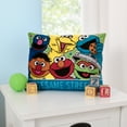 thumbnail image 2 of Sesame Street Come and Play Decorative Toddler Pillow, 2 of 5
