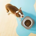 thumbnail image 5 of Placemat for Raised-Edge Dog Feeding Mat to Spills Leak-Proof Floor Protector for Dogs Easy-Clean Dining Mat, 5 of 5