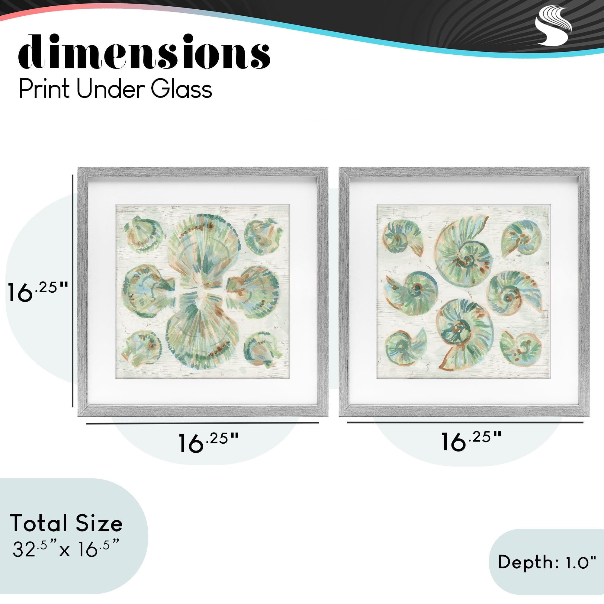Stupell Industries Saltwashed Seashells Pattern 2 Piece Gray Framed Print Under Glass Set, design by June Erica Vess