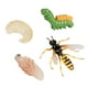 thumbnail image 1 of de de Avispas de de Crecimiento de de Animales Salvajes Juguete de Plástico Didáctico, 1 of 9