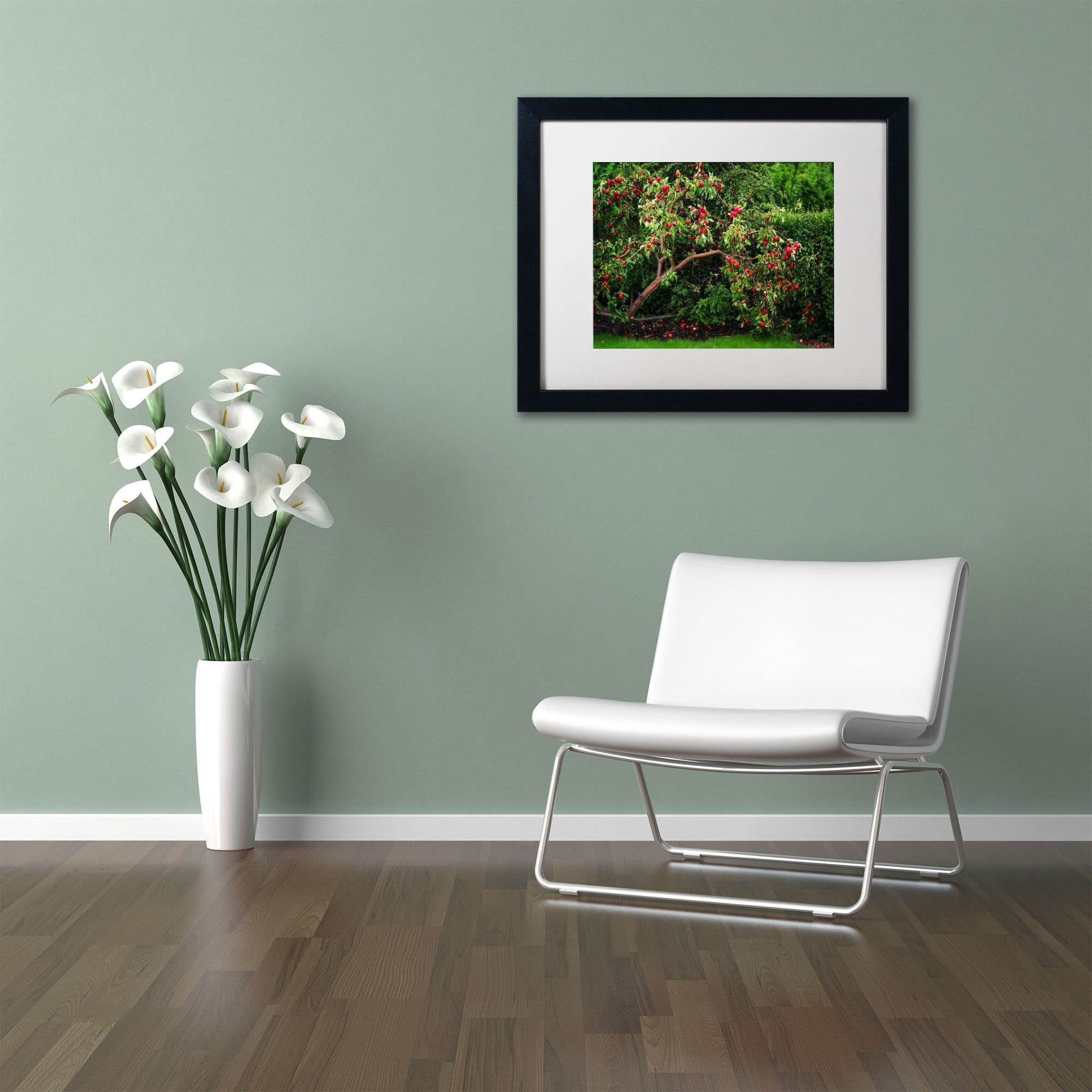 Trademark Fine Art "The Apple Tree" Canvas Art by Philippe Sainte-Laudy, White Matte, Black Frame