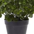 thumbnail image 3 of Nearly Natural Peperomia IndoorOutdoor UV Resistant Plant, 23, 3 of 3