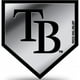 Tampa Bay Rays Emblème Auto Chromé – image 1 sur 2