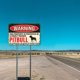 thumbnail image 4 of Placa Metal Vintage Pit Bull Barra Pintura Hierro Rectangular Advertencia 30x20cm, 4 of 9