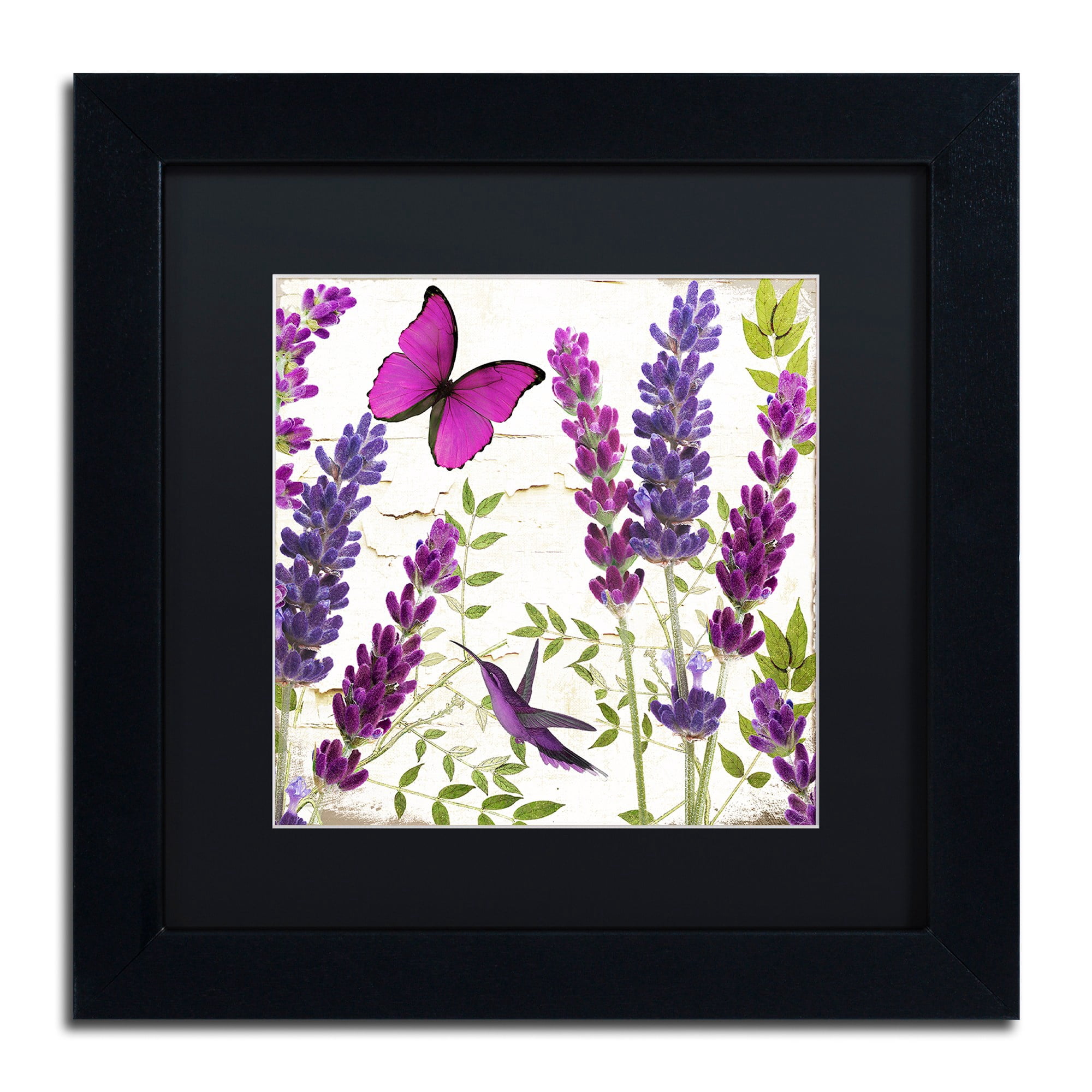 Trademark Fine Art "Lavender II" Canvas Art by Color Bakery, Black Matte, Black Frame