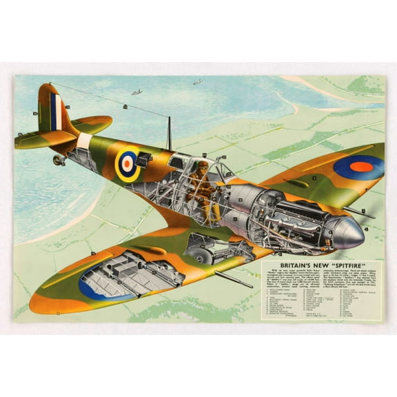 Spitfire Cutaway Aviation Diagram Poster 27inx40in 27inx40in for any room 27x40 Square Adults Posters