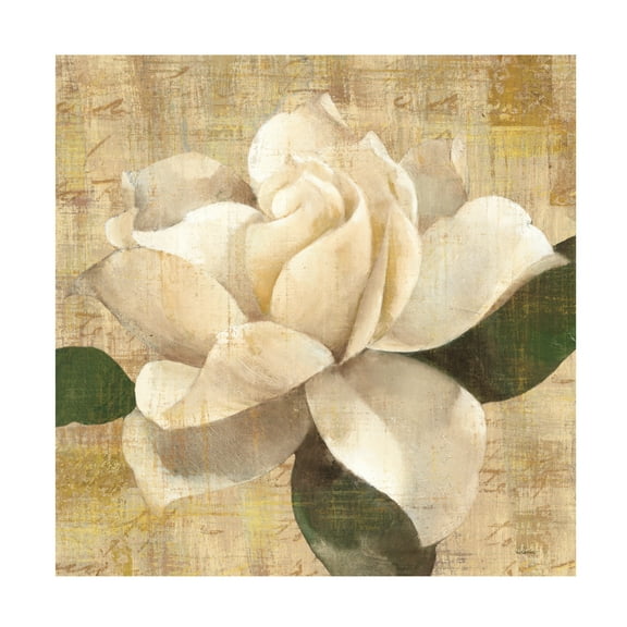 Trademark Fine Art 'Gardenia Blossom On Script' Canvas Art by Albena Hristova
