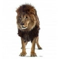 thumbnail image 1 of Lion Standup en Carton, 1 of 1