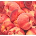 Fresh White Peaches, 2 lb Bag