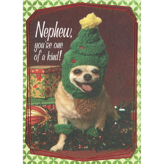 Designer Greetings Photo of Dog Wearing Green Tree Hat with Yellow Star Funny / Humorous Christmas Card for Nephew