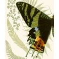 thumbnail image 2 of Vision Studio 20x23 White Modern Wood Framed Museum Art Print Titled - Butterfly Symmetry I, 2 of 4