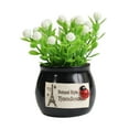 thumbnail image 1 of Kenally Adornos de coche Resina Flores artificiales Car-styling Auto Interior Decoraciones Plantas en maceta Decoración de tablero Automoción decorativa y accesorios negro Kenally CZ11639-01, 1 of 6