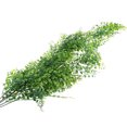 thumbnail image 4 of Guirnalda artificial que cuelga la planta vid de plástico verde hogar falso adorno de la planta para colgar en la pared tholdsy HA6694-00B, 4 of 6