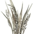 thumbnail image 2 of Vickerman 36" White Wash Bahia Spears with Seeds, 2 pack, Dried, 2 of 5