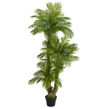 Dyna Triple Trees - Bay Isle Home Triple Phoenix Floor Palm Tree in Planter