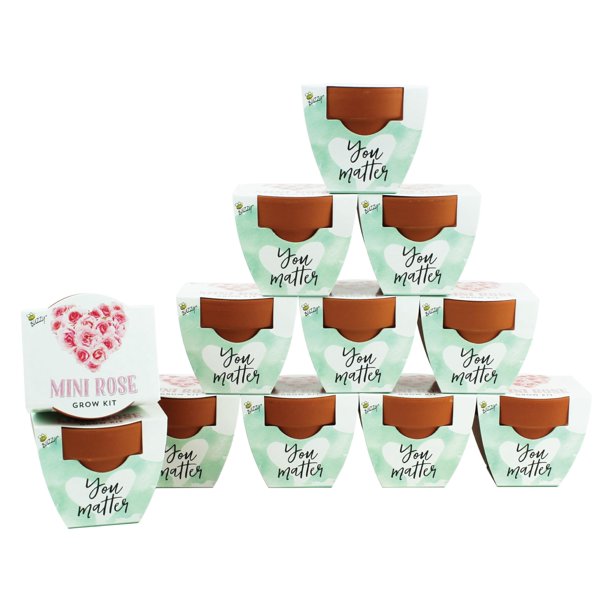 Kit de Cultivo Mini Rosas Terracota Buzzy 12 Unidades con Macetas de 5 cm