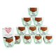 thumbnail image 1 of Kit de Cultivo Mini Rosas Terracota Buzzy 12 Unidades con Macetas de 5 cm, 1 of 6