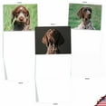 thumbnail image 4 of The Best Card Company - 10 Adorable Blank Dog Cards (4 x 5.12 Inch) - Pet Dog Breed Assortment, Boxed - Playful Pointers AM6297OCB-B1x10, 4 of 6