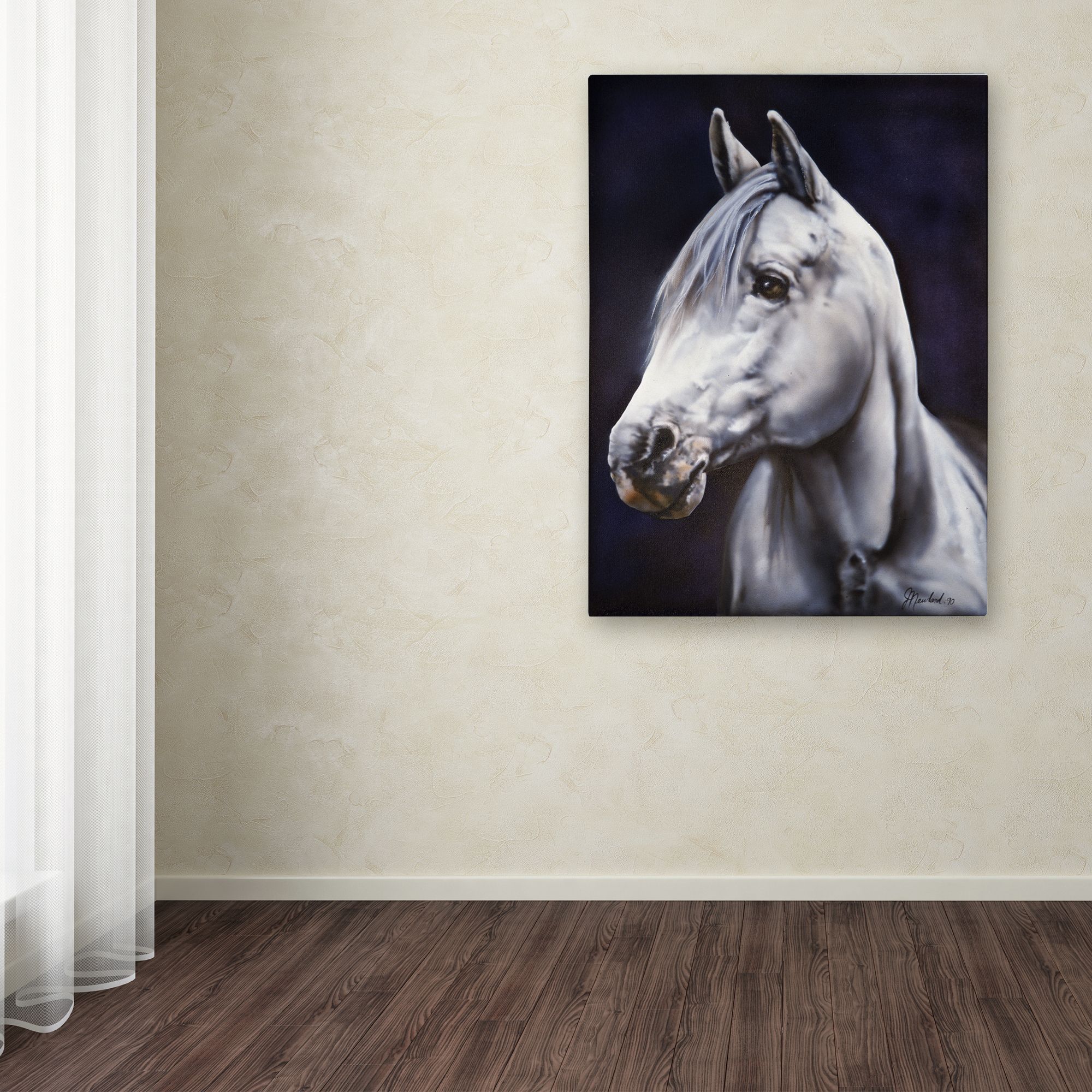 Trademark Fine Art 'White Arabian Stallion' Canvas Art by Jenny Newland