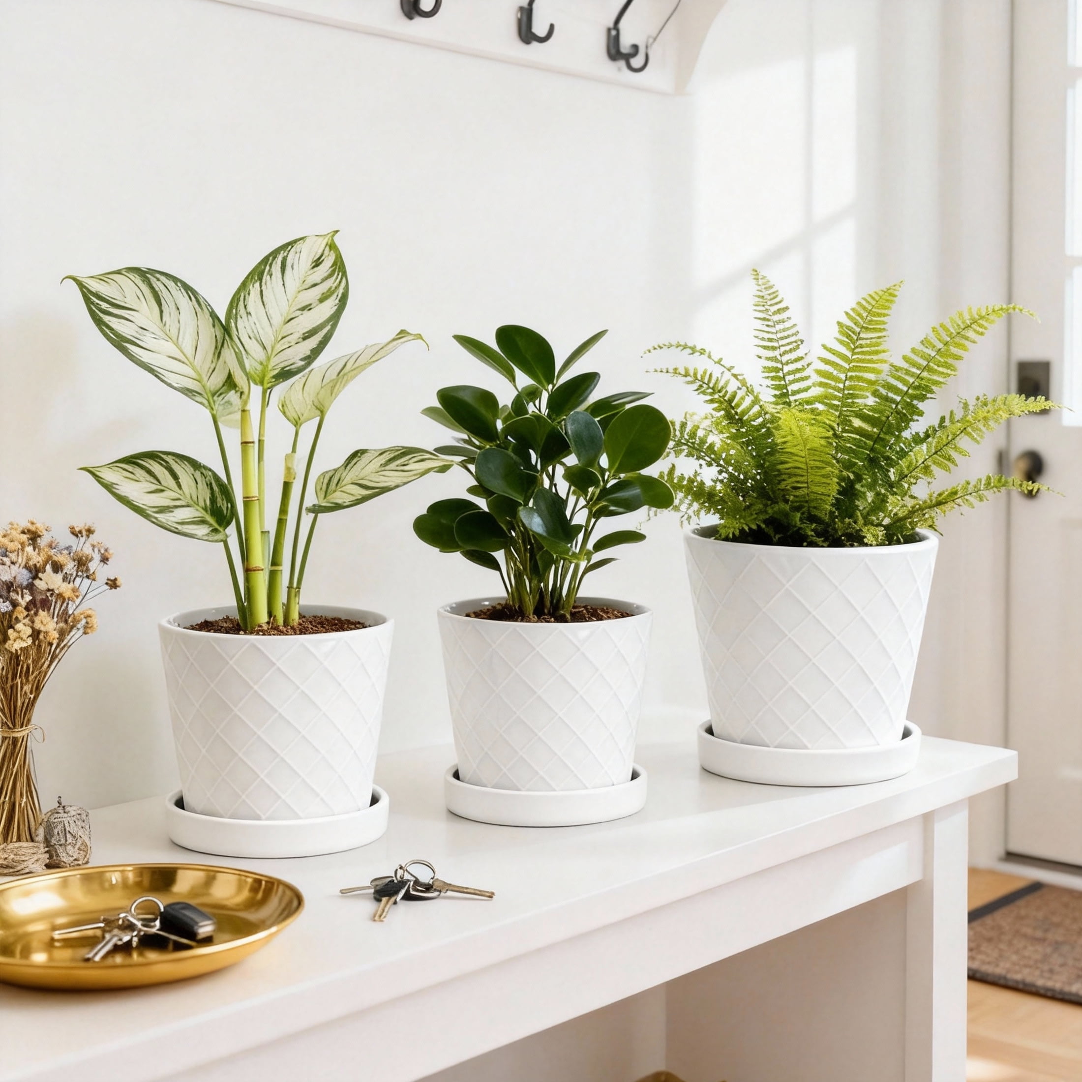 BUYMAX 4",5",6" Dia Planter Set of 3, Modern Style Ceramic Plant Pots with Drainage Hole and Tray for Indoor Outdoor Patio, Crisp Bright White