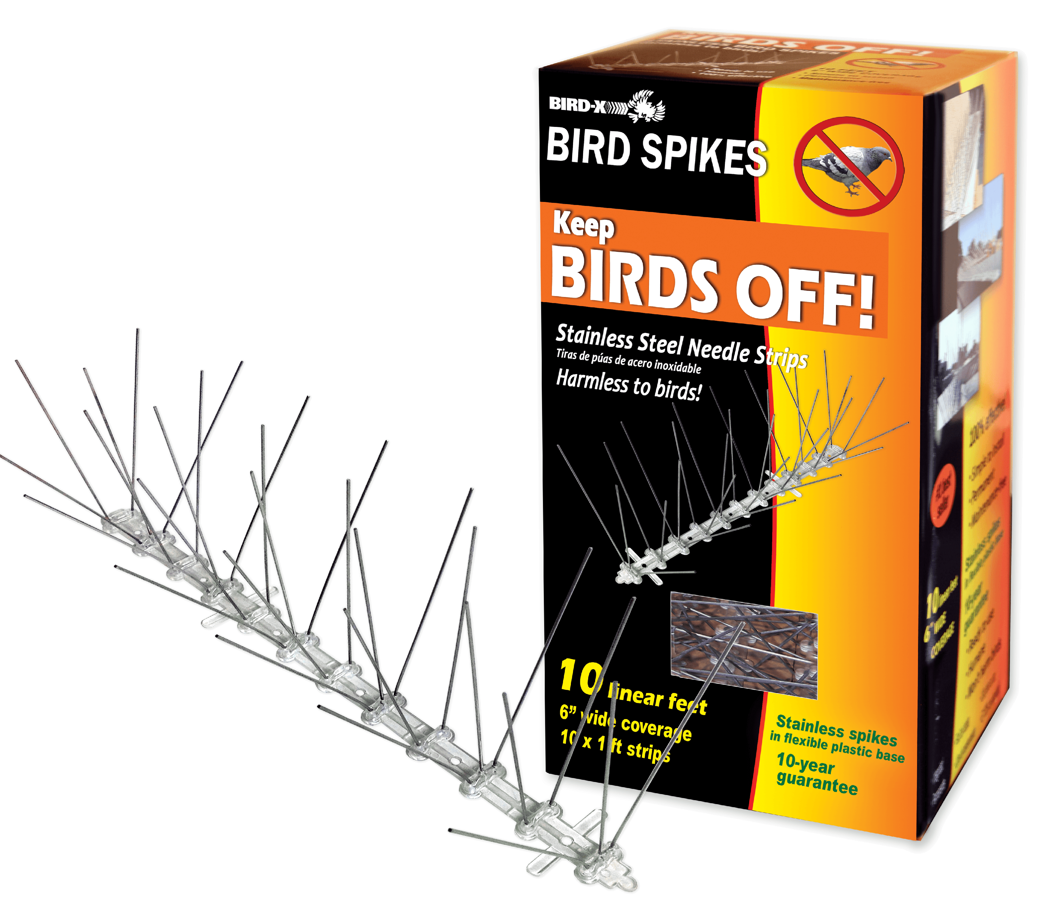 BIRD-X INC Stainless Steel Bird and Pest Repellent Spikes, 10 ft