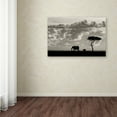 thumbnail image 3 of Trademark Fine Art 'Silhouettes Of Mara' Canvas Art by Mario Moreno, 3 of 3