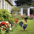 thumbnail image 5 of Wooden Rooster Garden Statue Realistic Design Easy Assembly for Outdoor Decoration, 5 of 5