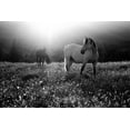 thumbnail image 2 of Svoboda Mqep, Peter 18x13 White Modern Wood Framed Museum Art Print Titled - Come Home, 2 of 4