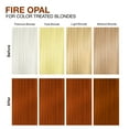 thumbnail image 5 of Fire Opal Copper® Colorditioner, 5 of 8