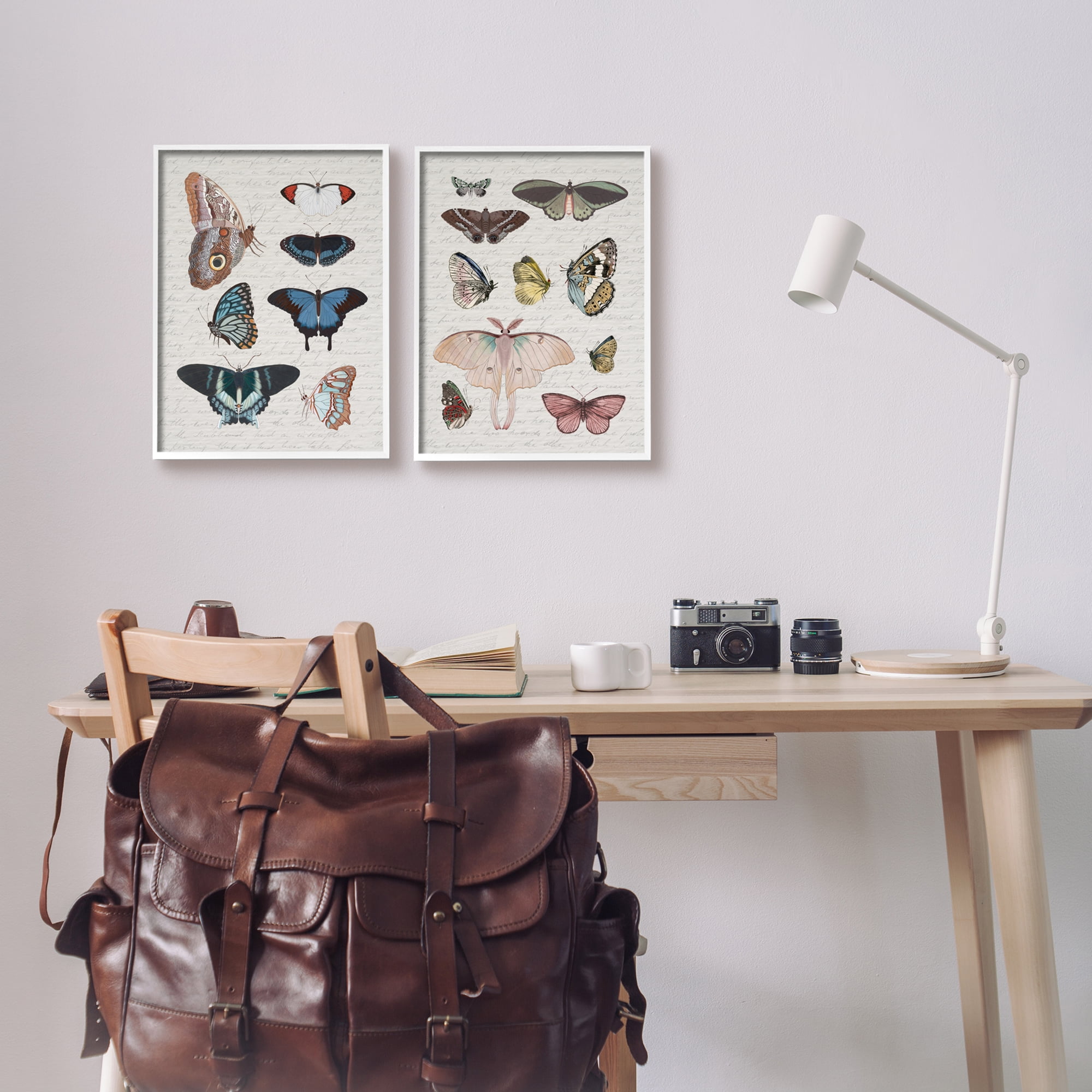 Stupell Industries Vintage Butterflies & Moths Animals & Insects Painting White Framed Art Print Wall Art, 11 x 14