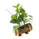 thumbnail image 4 of Plantas artificiales en macetas verdes con tronco de madera, bonsái en maceta. Estilo V, 4 of 7