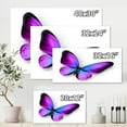 thumbnail image 4 of Designart ' Blue and Violet Butterfly ' Modern Canvas Wall Art Print, 4 of 4